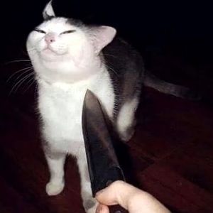 Meet your Posher, Htut